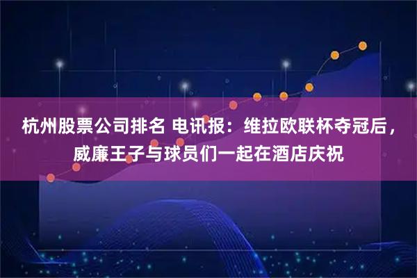 杭州股票公司排名 电讯报：维拉欧联杯夺冠后，威廉王子与球员们一起在酒店庆祝